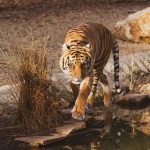 images-24