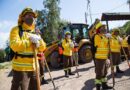 <strong>CONAF RM busca brigadistas forestales para la temporada 2023-2024</strong>